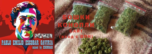 молекула духа Богородицк