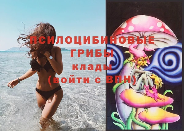 каннабис Аркадак