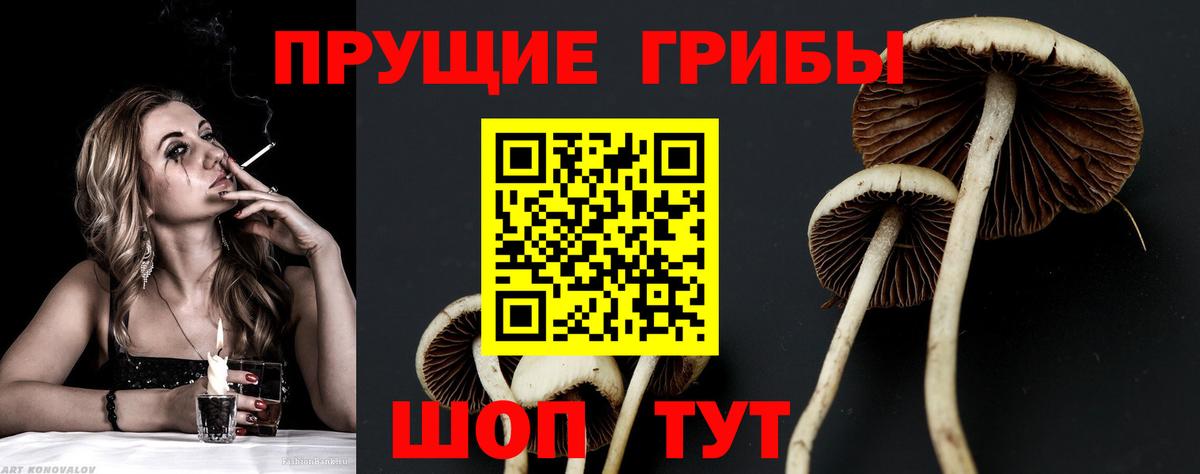 что такое   Псилоцибиновые грибы ЛСД  Вход с VPN  Верхняя Салда 