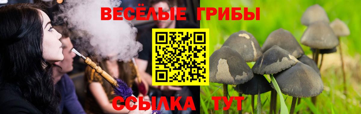 Галлюциногенные грибы прущие грибы Верхняя Салда